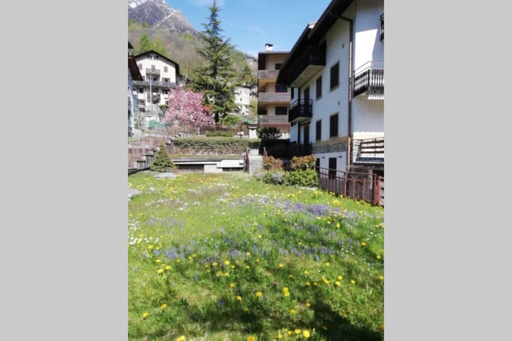 Ferrari'S: Bright Apartment With Magnificent View Chiesa in Valmalenco Exteriör bild